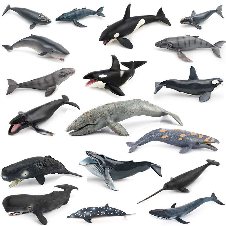 Kids Education Product - Realistic Humpback Whale Sperm Whale Narwhal