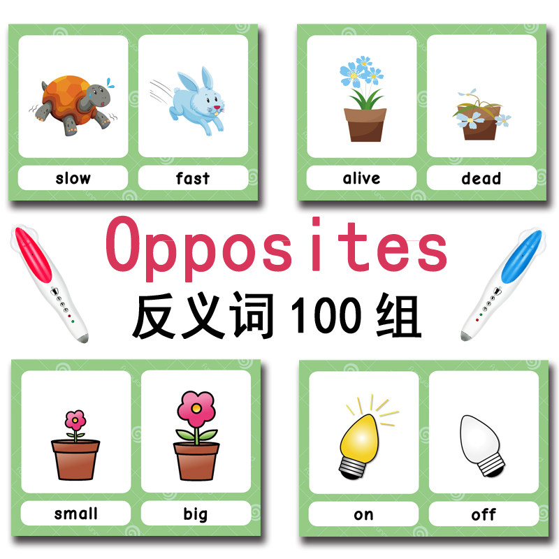 The 100 Groups Opposites Flash - Kids Educational Resources ulasan dan harga