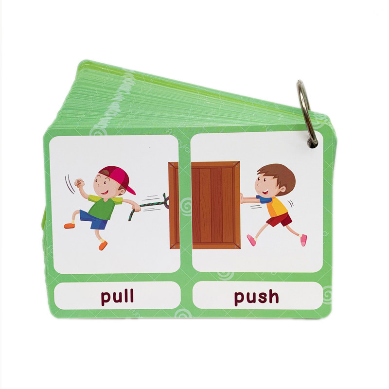 The 100 Groups Opposites Flash - Kids Educational Resources ulasan dan harga