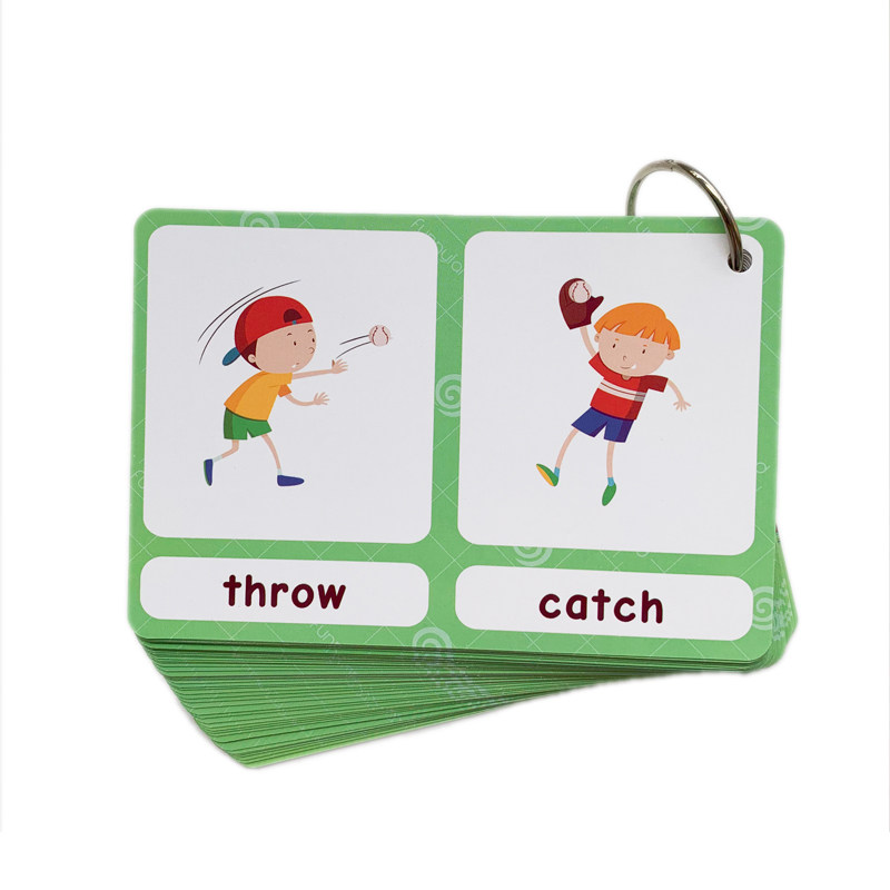 The 100 Groups Opposites Flash - Kids Educational Resources ulasan dan harga