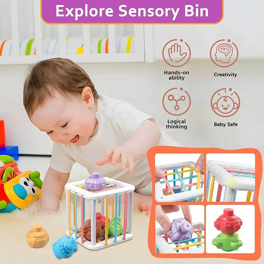 Rainbow Colorful Montessori Sh - Kids Education Product ulasan dan harga