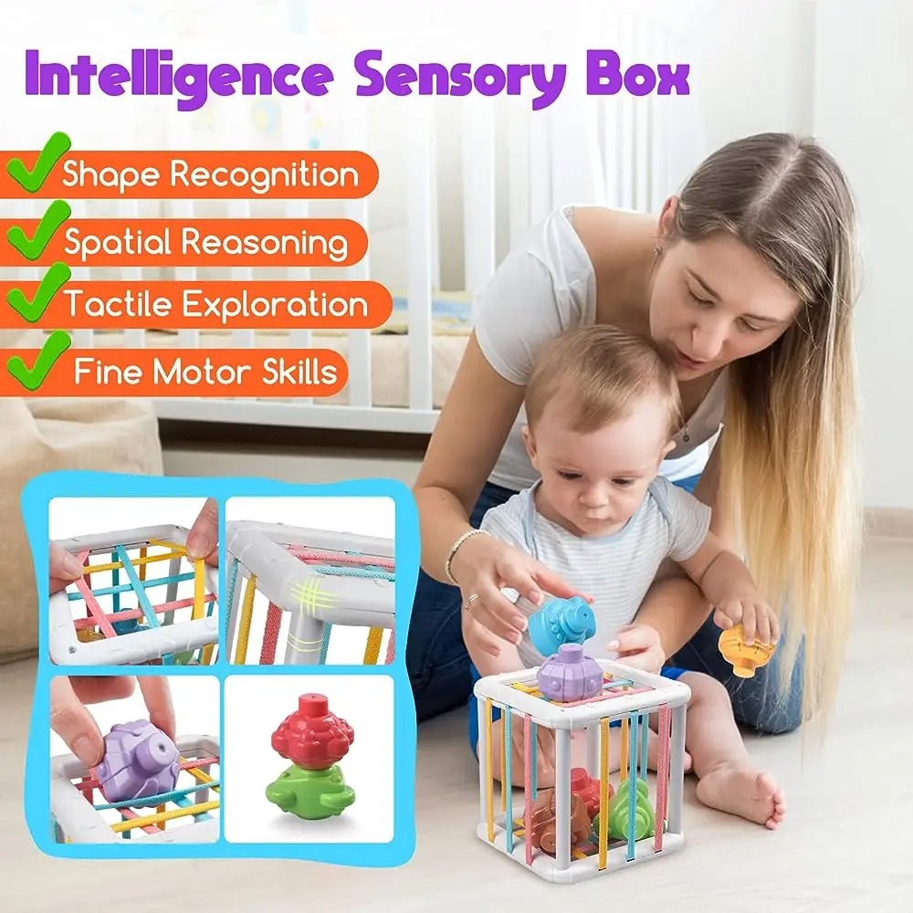 Rainbow Colorful Montessori Sh - Kids Education Product ulasan dan harga