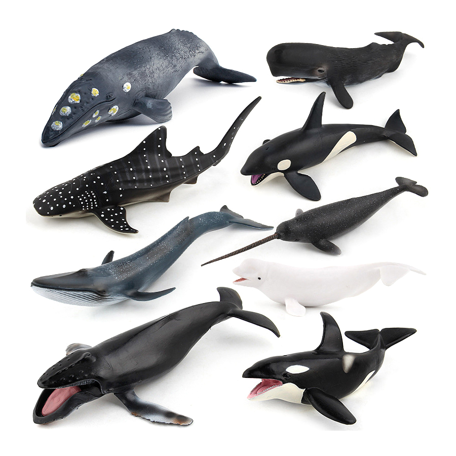 Realistic Humpback Whale Sperm - Kids Education Product ulasan dan harga