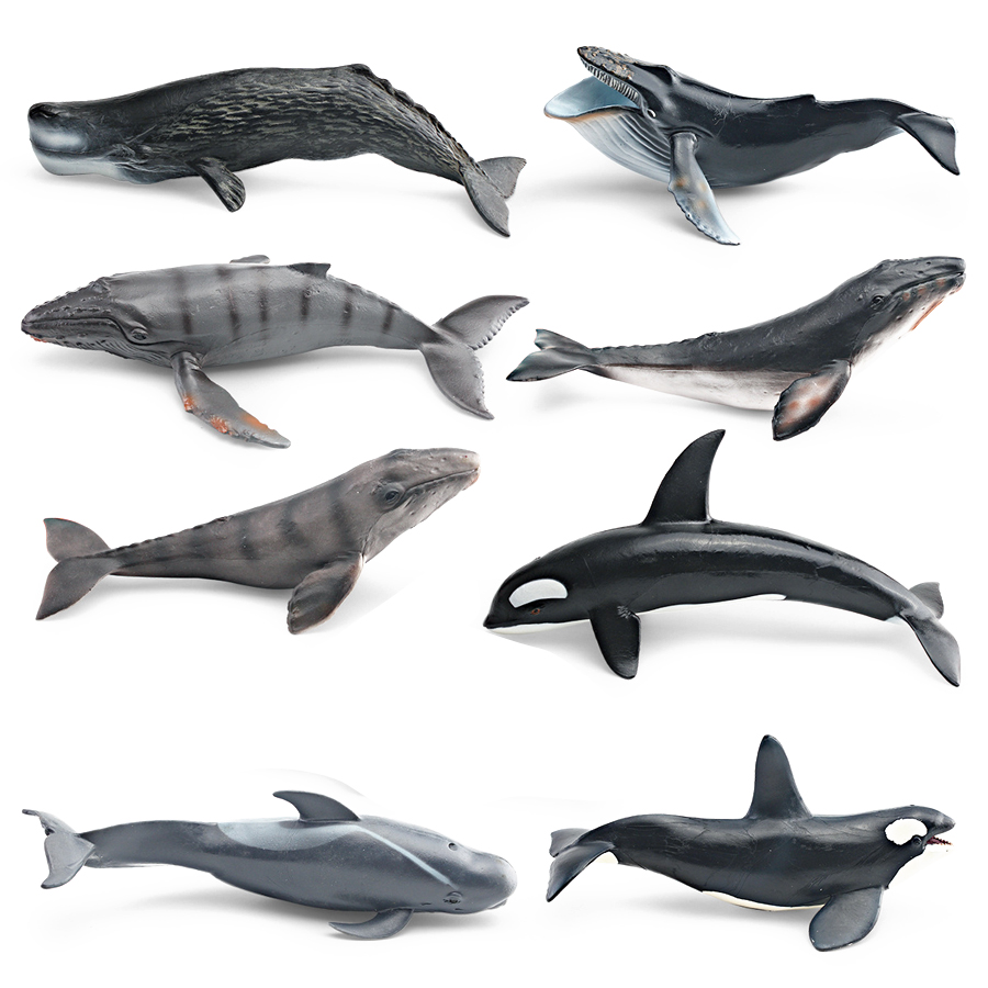 Realistic Humpback Whale Sperm - Kids Education Product ulasan dan harga