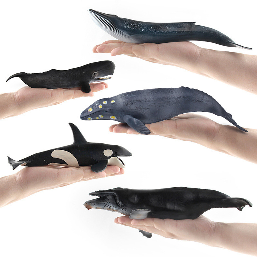 Realistic Humpback Whale Sperm - Kids Education Product ulasan dan harga
