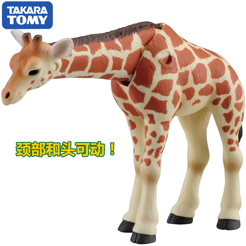 Original Takara Tomy Ania Gira - Kids First Education ulasan dan harga