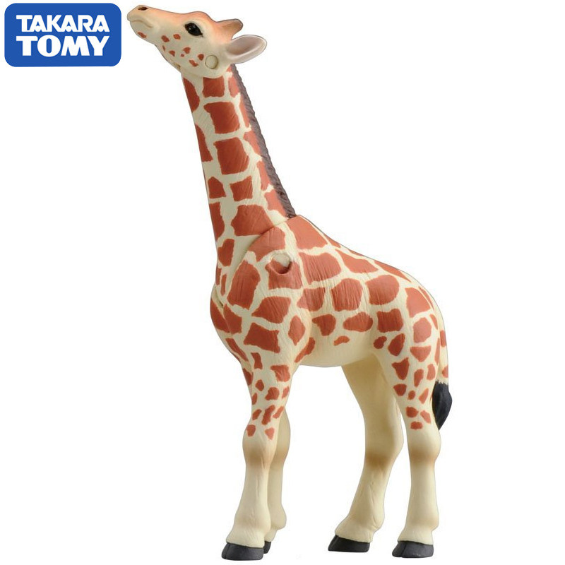 Original Takara Tomy Ania Gira - Kids First Education ulasan dan harga