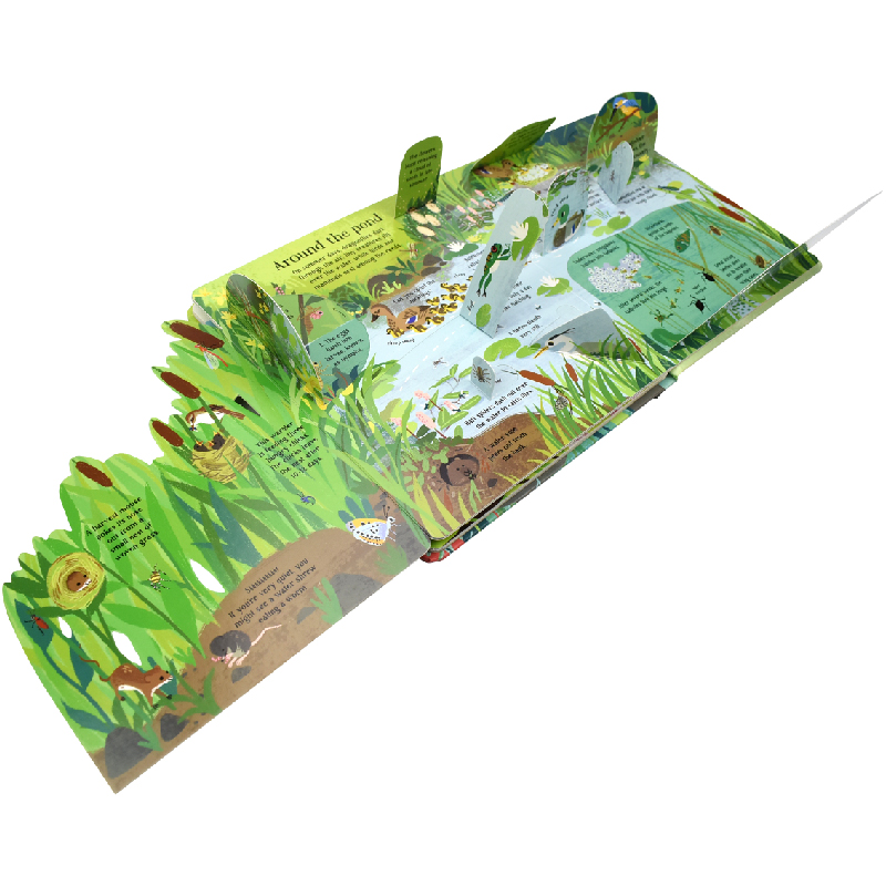 English Montessori 3D Usborne  - Kids Nature Education ulasan dan harga