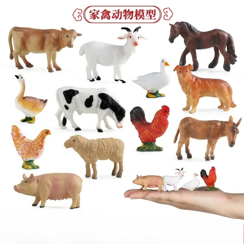 Education Teaching Tool Poultr - Kids First Education ulasan dan harga