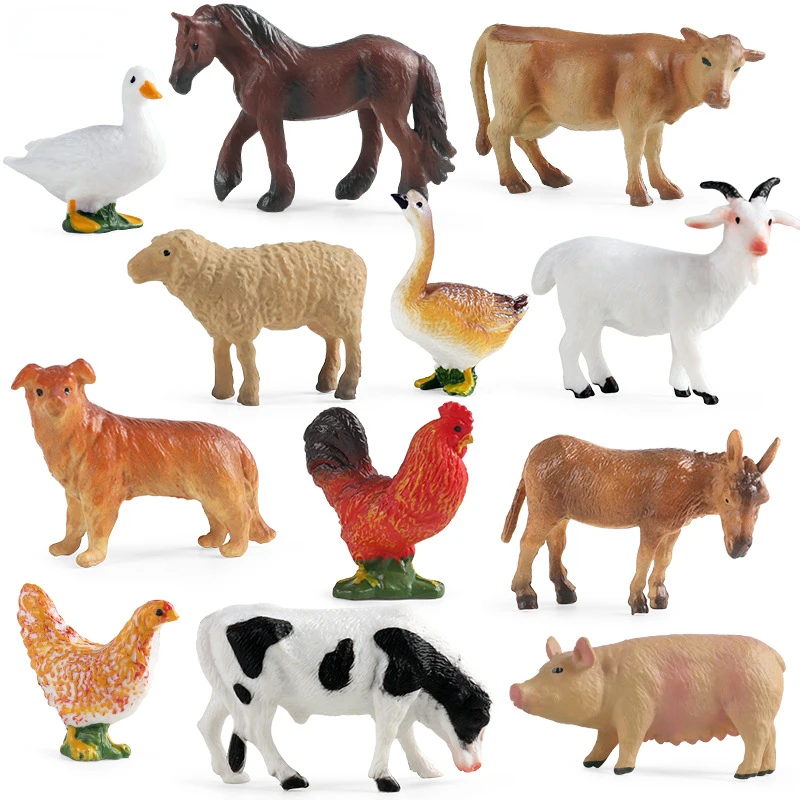 Education Teaching Tool Poultr - Kids First Education ulasan dan harga