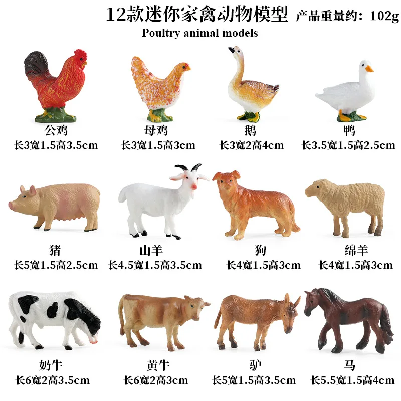 Education Teaching Tool Poultr - Kids First Education ulasan dan harga